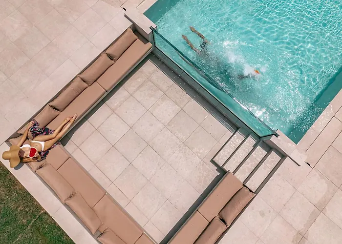 Opsis 리메나리아